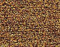 Rainbow Gallery Petite Treasure Braid - PB35 Lt Antique Gold