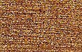 Rainbow Gallery Petite Treasure Braid - PB73 Black Hill Gold