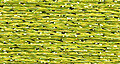 Rainbow Gallery Petite Treasure Braid - PB83 Wild Lime